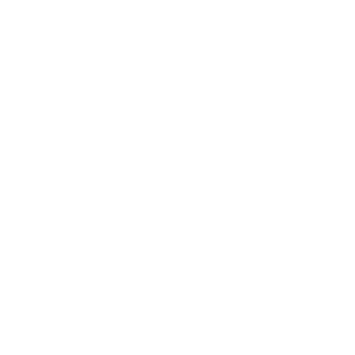 ngo icon